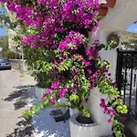 Apartamento Vokamvilia *