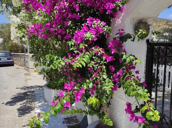 Appartement Vokamvilia *